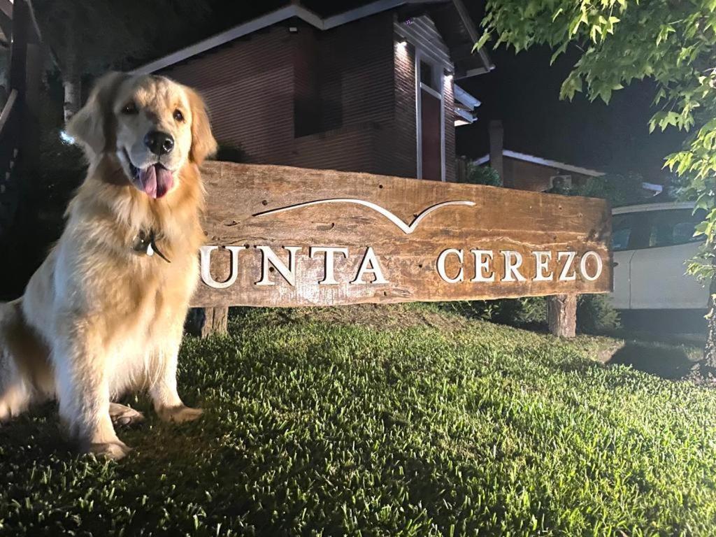 Punta Cerezo Apartamento Carilo